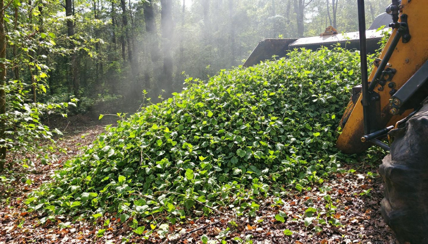 Comment optimiser la gestion de la végétation avec des broyeurs industriels ?